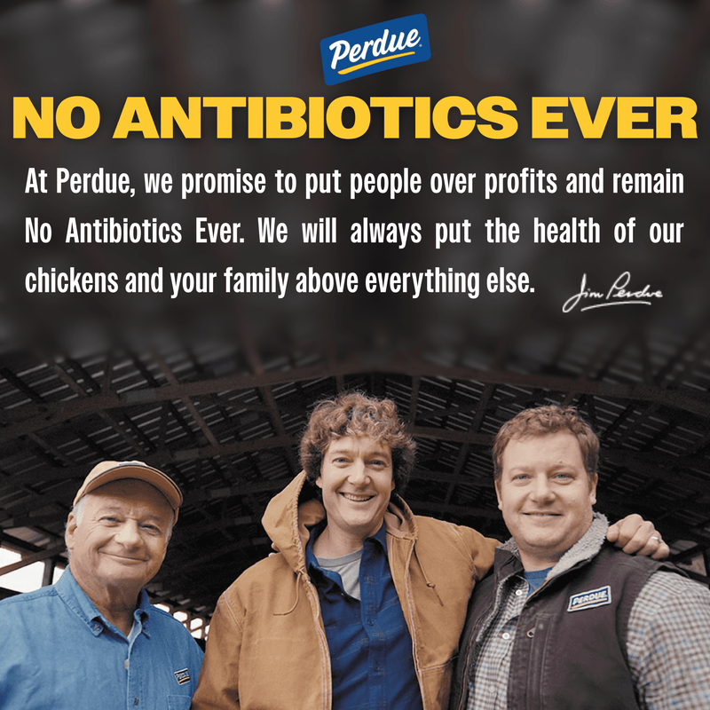 Perdue, No Antibiotics Ever, Frozen Breaded Chicken Breast Tenders, 29 oz. — photo 2