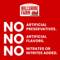 Hillshire Farm Ultra Thin Rotisserie Seasoned Chicken Breast Lunchmeat, 9 oz Plastic Tub, Refrigerated — photo 3