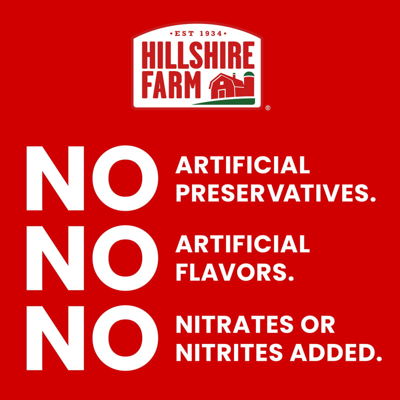 Hillshire Farm Ultra Thin Rotisserie Seasoned Chicken Breast Lunchmeat, 9 oz Plastic Tub, Refrigerated — photo 3