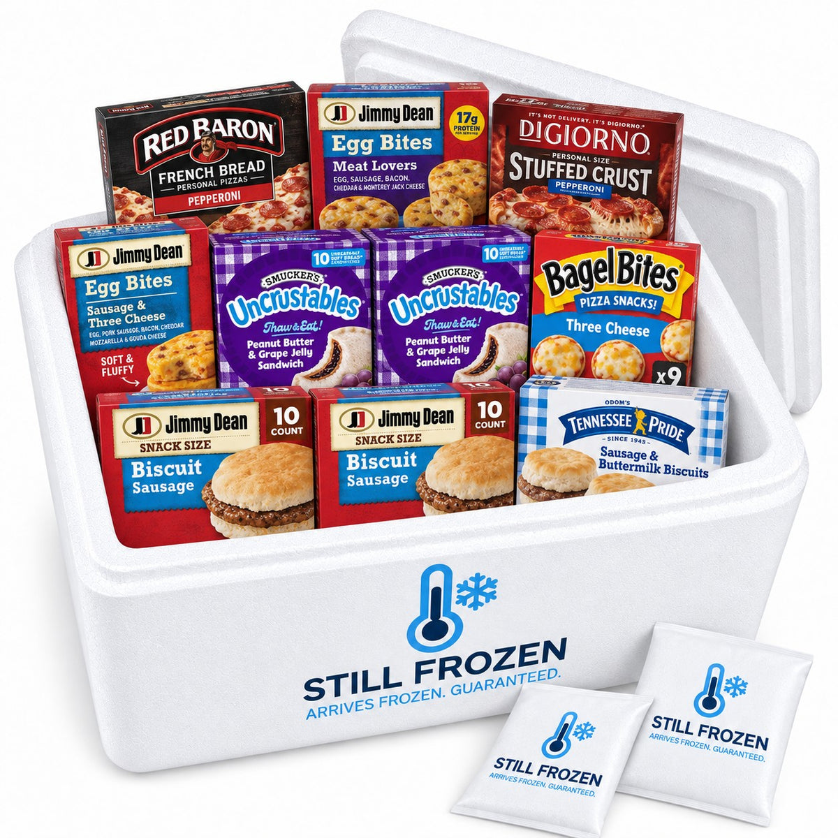 The Lunchbox & Snacks Box · Cooler L in a Still Frozen foam cooler with gel packs