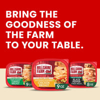 Hillshire Farm Ultra Thin Rotisserie Seasoned Chicken Breast Lunchmeat, 9 oz Plastic Tub, Refrigerated — photo 2
