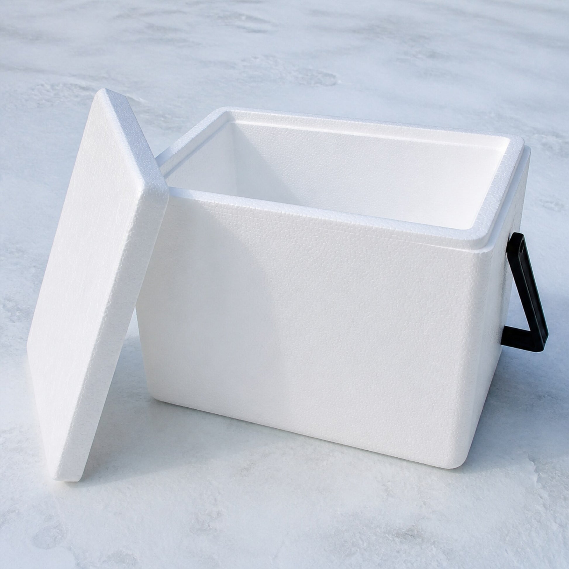 White 22 quart foam shipping cooler, lid off, empty interior visible