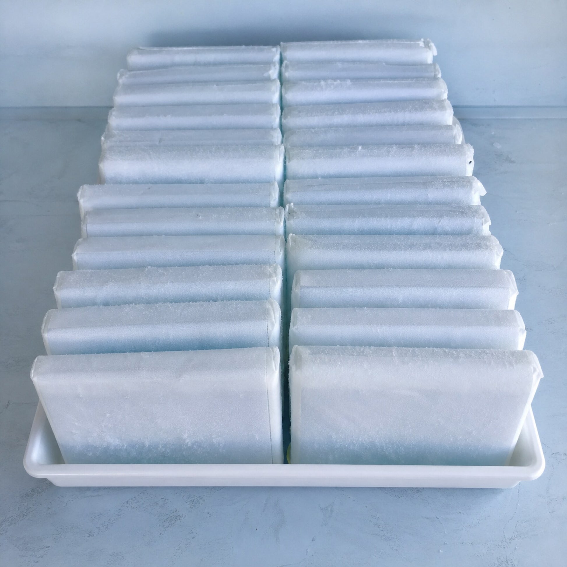 Tray filled with frozen gel ice packs standing on edge in rows