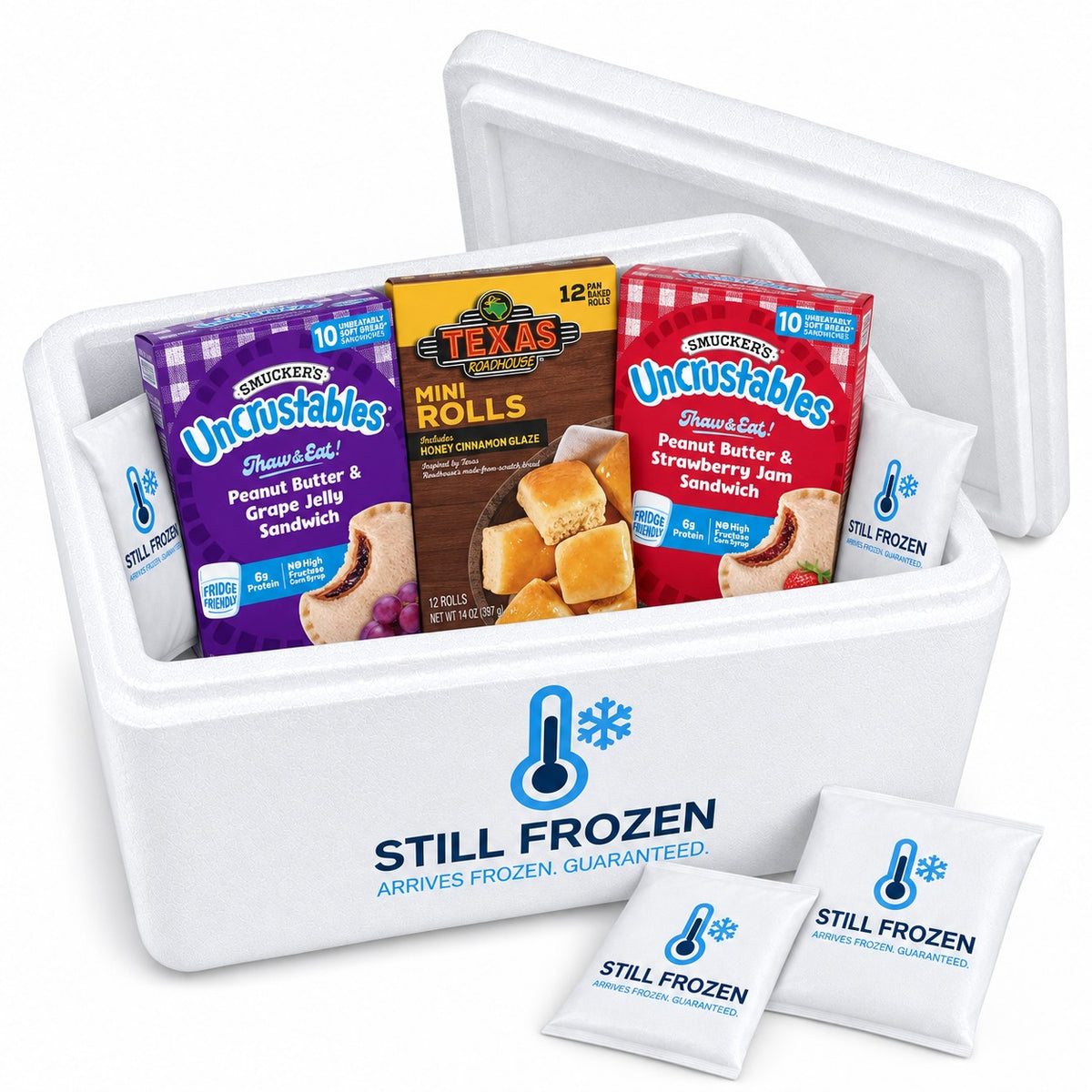 The After-School Snack Box · Cooler S in a Still Frozen foam cooler with gel packs