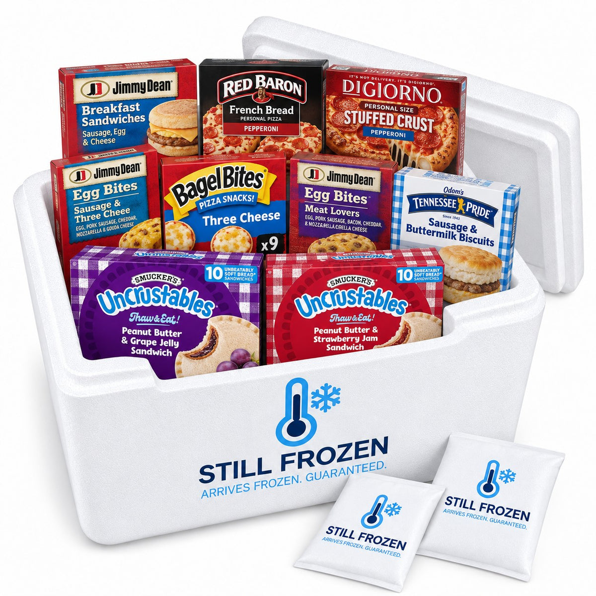 The Lunchbox & Snacks Box · Cooler M in a Still Frozen foam cooler with gel packs