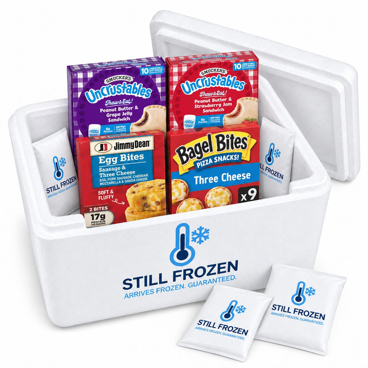 The Lunchbox & Snacks Box · Cooler S in a Still Frozen foam cooler with gel packs